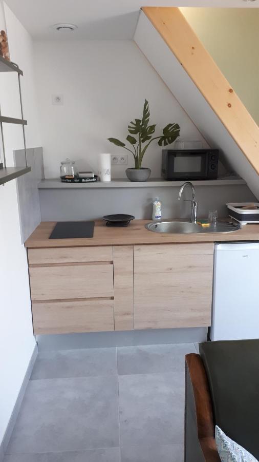Le Chartreuse / Rent4Night Grenoble Leilighet Eksteriør bilde